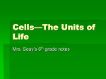 Cells—The Units of Life