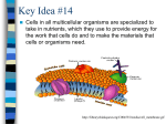 Key Idea #11 - Mona Shores Blogs