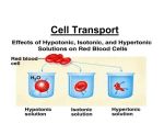 Cell Transport - Solon City Schools