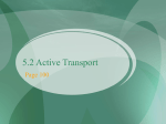 Active Transport