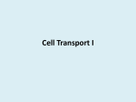 Cell Transport I