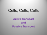 active transport