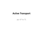 Active Transport