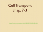 Cell Membrane - Cloudfront.net