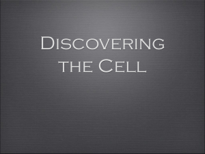 Discovering the Cell