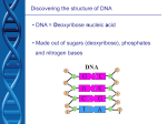 Deoxyribose nucleic acid