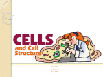 Cells