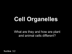 Cell Organelles - Triton Science