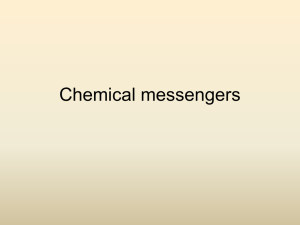 Chemical messengers 2007