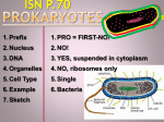 Cell Theory ppt