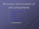 Structure and function of cell components