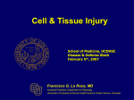 Cell and Tissue Injury - Department of Pathology
