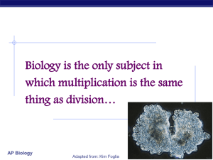 Ch12mitosis_web