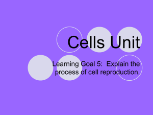 Cells Unit