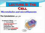 The Cell Organelles