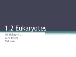 Eukaryotes 2014-15