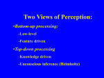Two Views of Perception