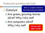 1.2 Prokaryotic Eukaryotic