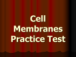 Cell Membranes Practice Test