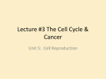 Lecture #3 The Cell Cycle & Cancer