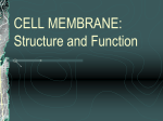 CELL MEMBRANE: Structure and Function