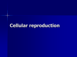 Cellular reproduction