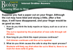 10.3 Cell Cycle Regulation