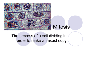 Mitosis - Cobb Learning