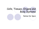 Cells, Tissues, Organs and Body Systems