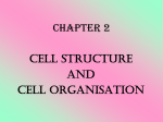 biology form 4