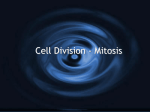 Cell division - mitosis power point