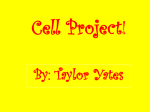 Cell Project - CrawfordandDunnavant