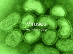 Viruses - Mrs. Hilton`s Crew