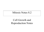 Mitosis Notes 8.2