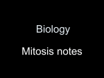 Mitosis Notes improved for honors