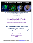 Henk Roelink, Ph.D.