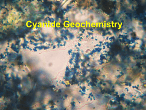 Cyanide Geochemistry - University of Manitoba