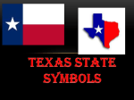 Texas symbols