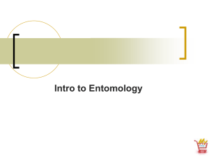 Intro-to-Entomology - Mid