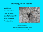 Entomology--Michael Meyer
