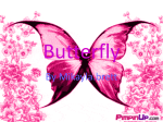 Butterfly - Smithtown Public School