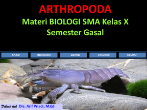 ARTHROPODA Materi BIOLOGI SMA Kelas X Semester Gasal