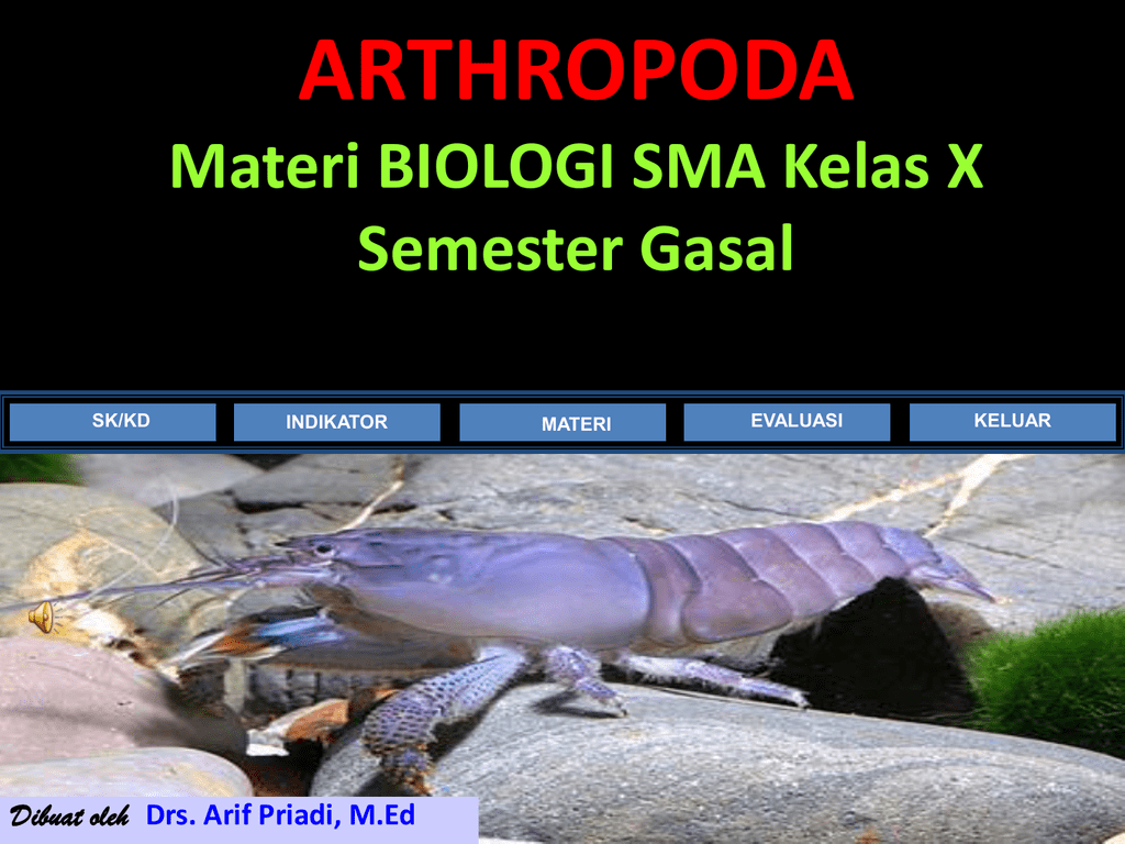 Arthropoda Materi Biologi Sma Kelas X Semester Gasal