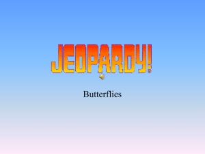 butterfly jeopardy