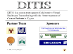 DITIS SYSTEM