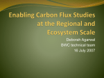 Enabling Carbon Flux Studies at the Regional and Ecosystem Scale