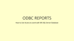 Section 10 - ODBC and Access Reports