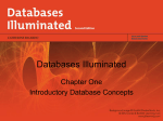 Database Systems