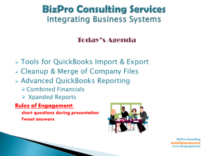 BizPro Consulting Services