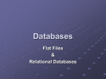 Flat Files and Relational Databases Presentation